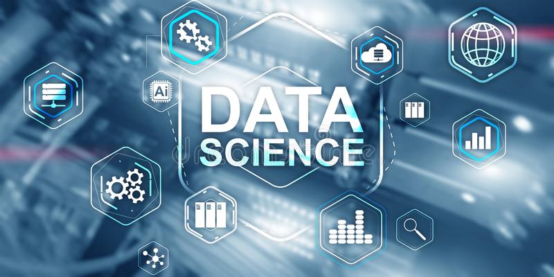 Data Analyst